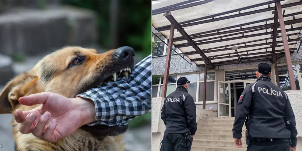 pes, útok, polícia