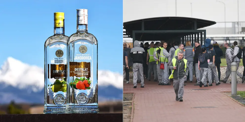 Prelika alkohol firma