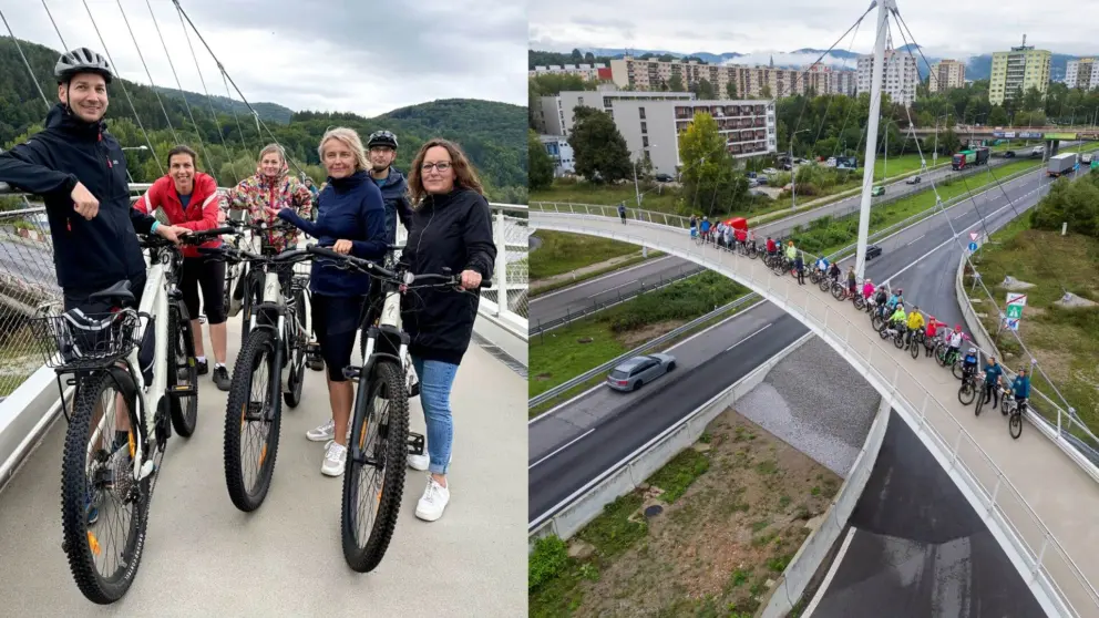 Reprofoto PLUS 7 DNÍ/Pixabay