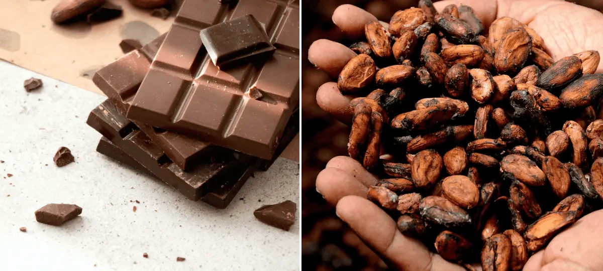 kakao, čokoláda