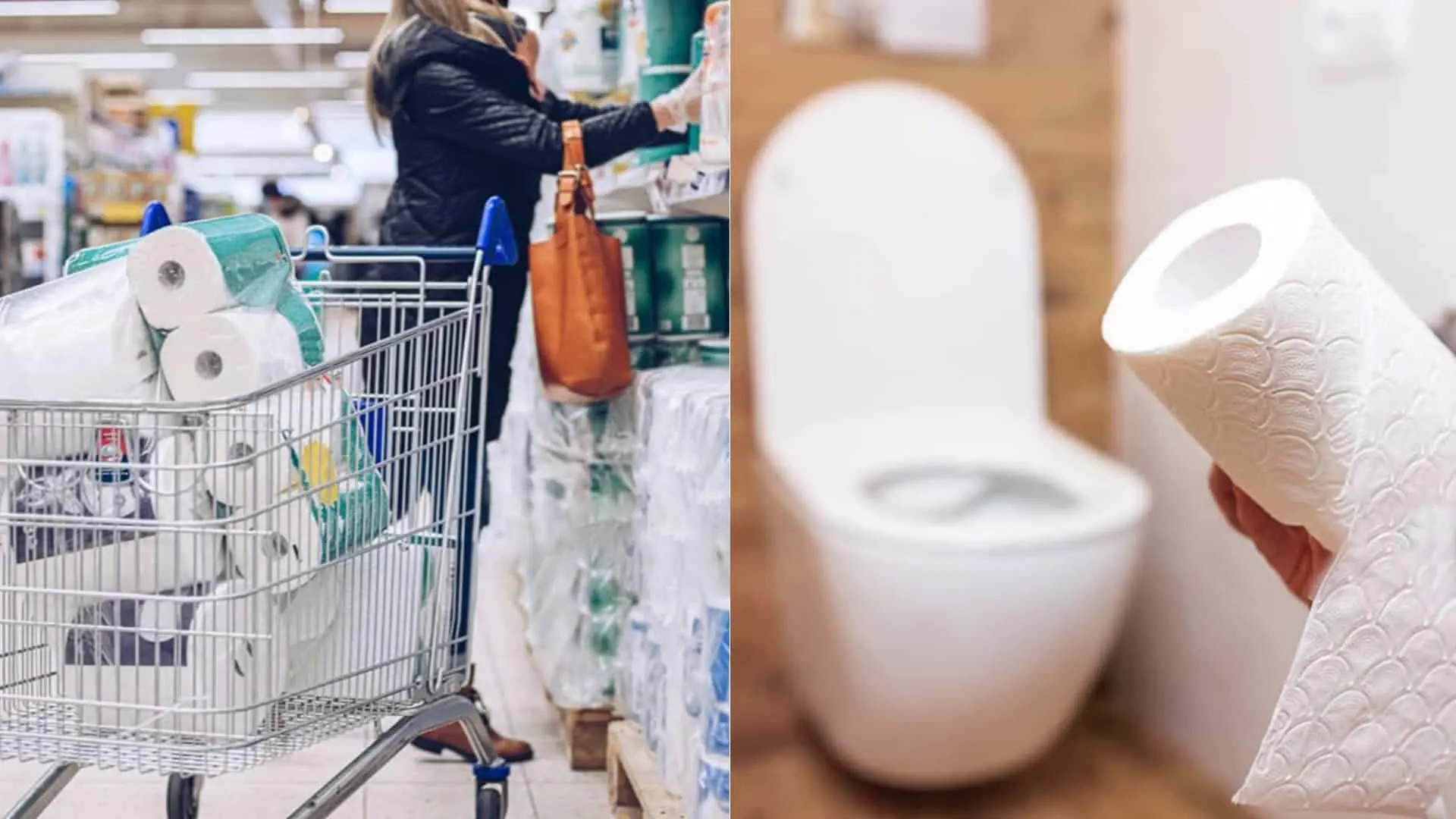 toaleta, toaletný papier