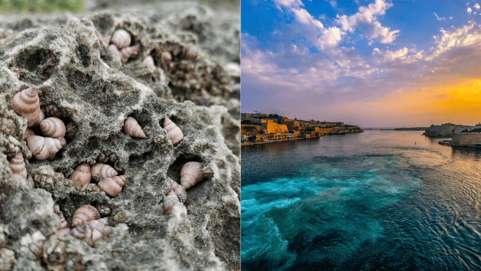 mäkkýš more oceán voda