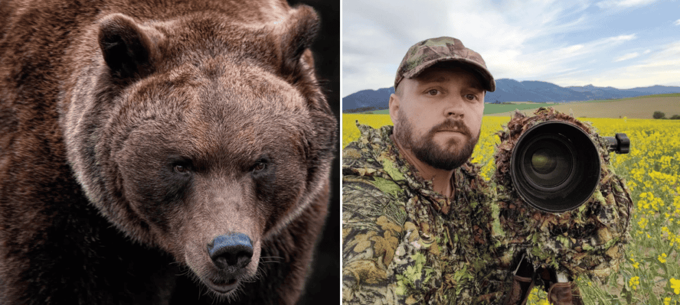 tomáš, medveď, útok