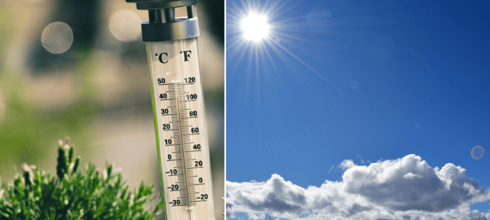 predpoveď, meteorológia, leto, 2025, poľnohospodárstvo