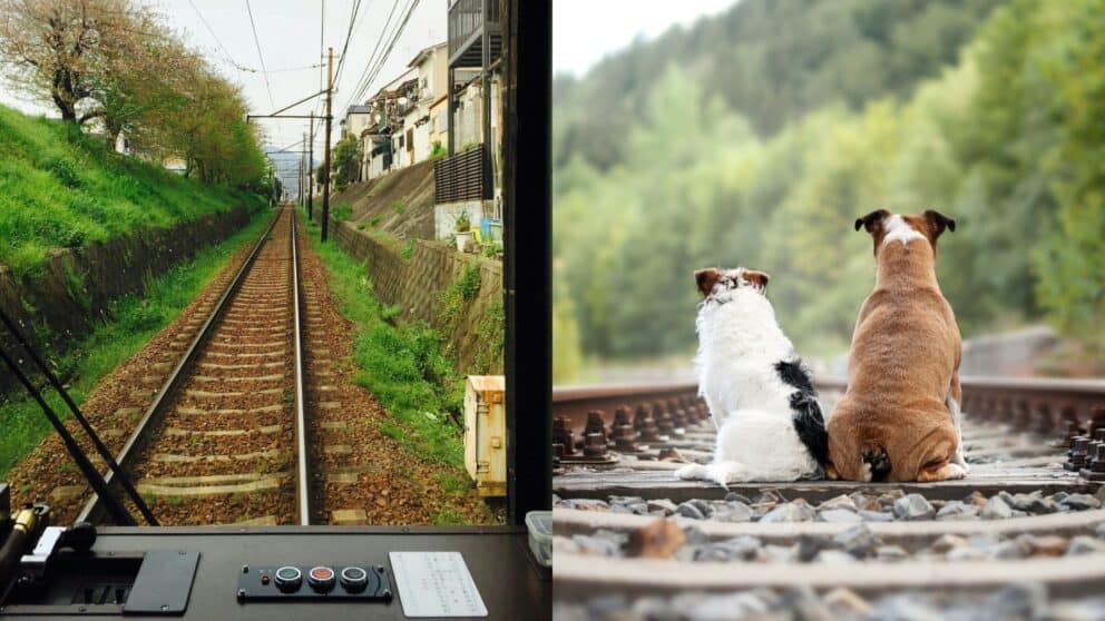 Vlak zrazil matku s dieťaťom.