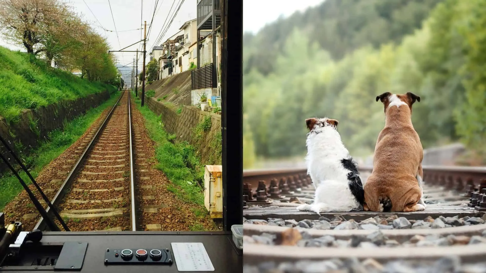 Vlak zrazil matku s dieťaťom.