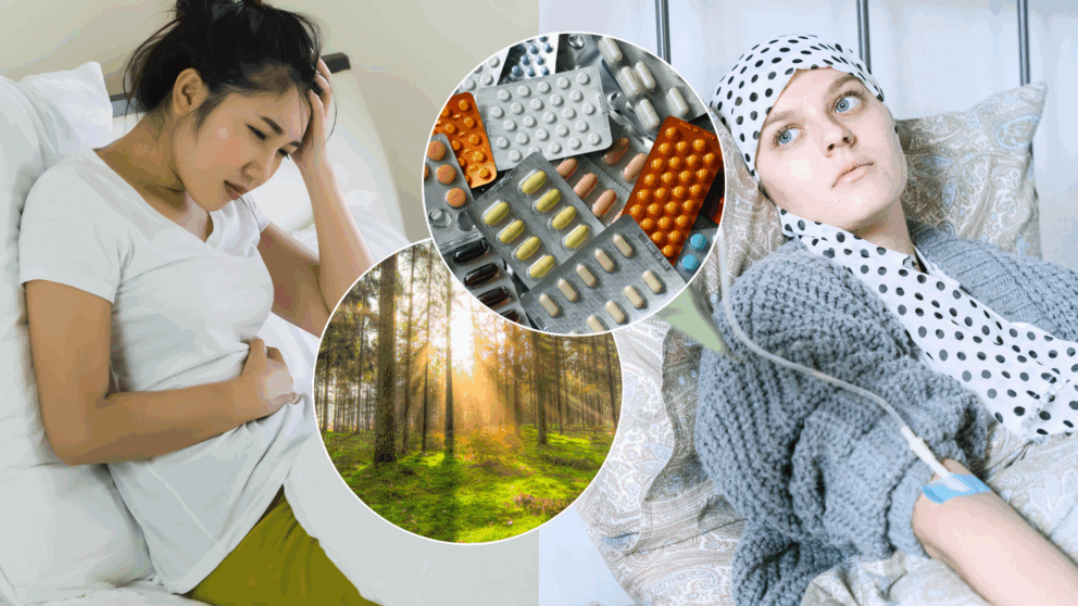 brucho rakovina vitamin