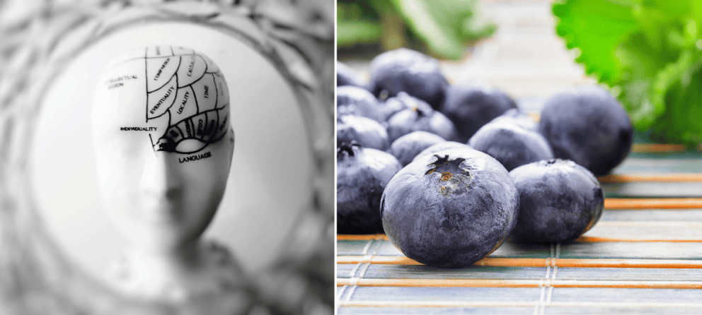 čučoriedky, mozog, zdravie, superpotraviny