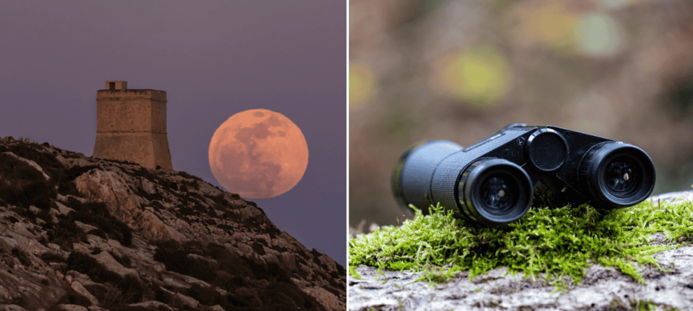 ružový-spln-mesiac