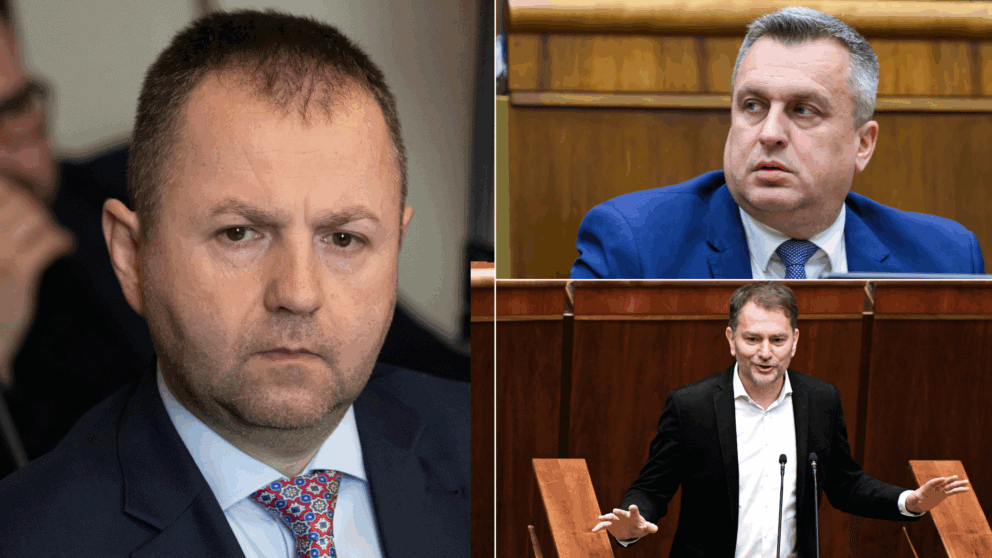 politici diplomove prace