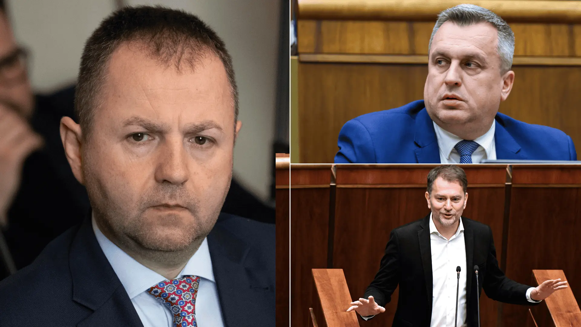 politici diplomove prace