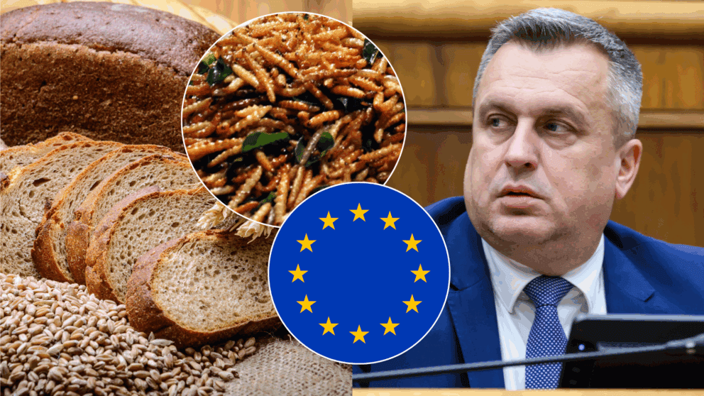 danko hmyz jedlo potraviny