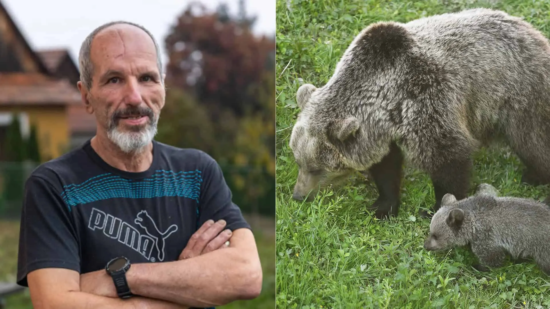 Marián Daubner Lebo medveď