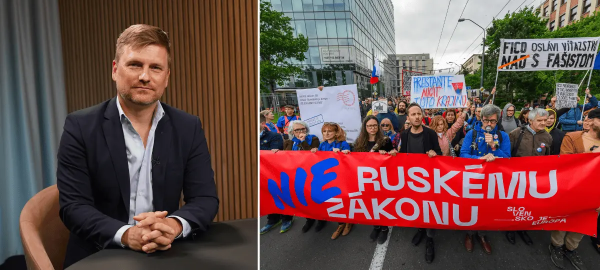 Vršanský, mimovládne organizácie, mimovládky, Liga za duševné zdravie