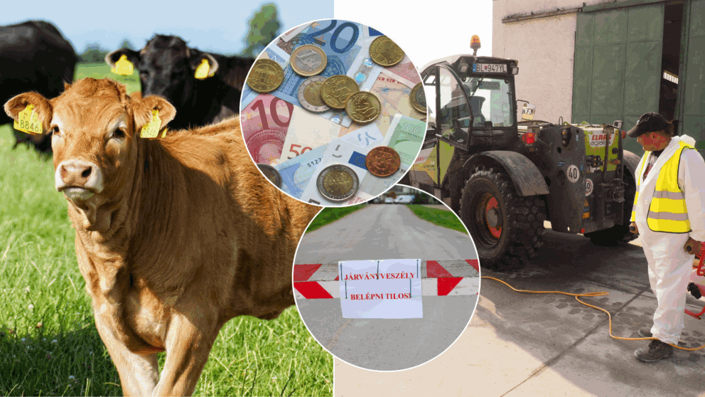 slintačka a krivačka kompenzacia