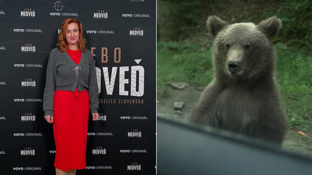 Vladimíra Fabriciusová Lebo medveď