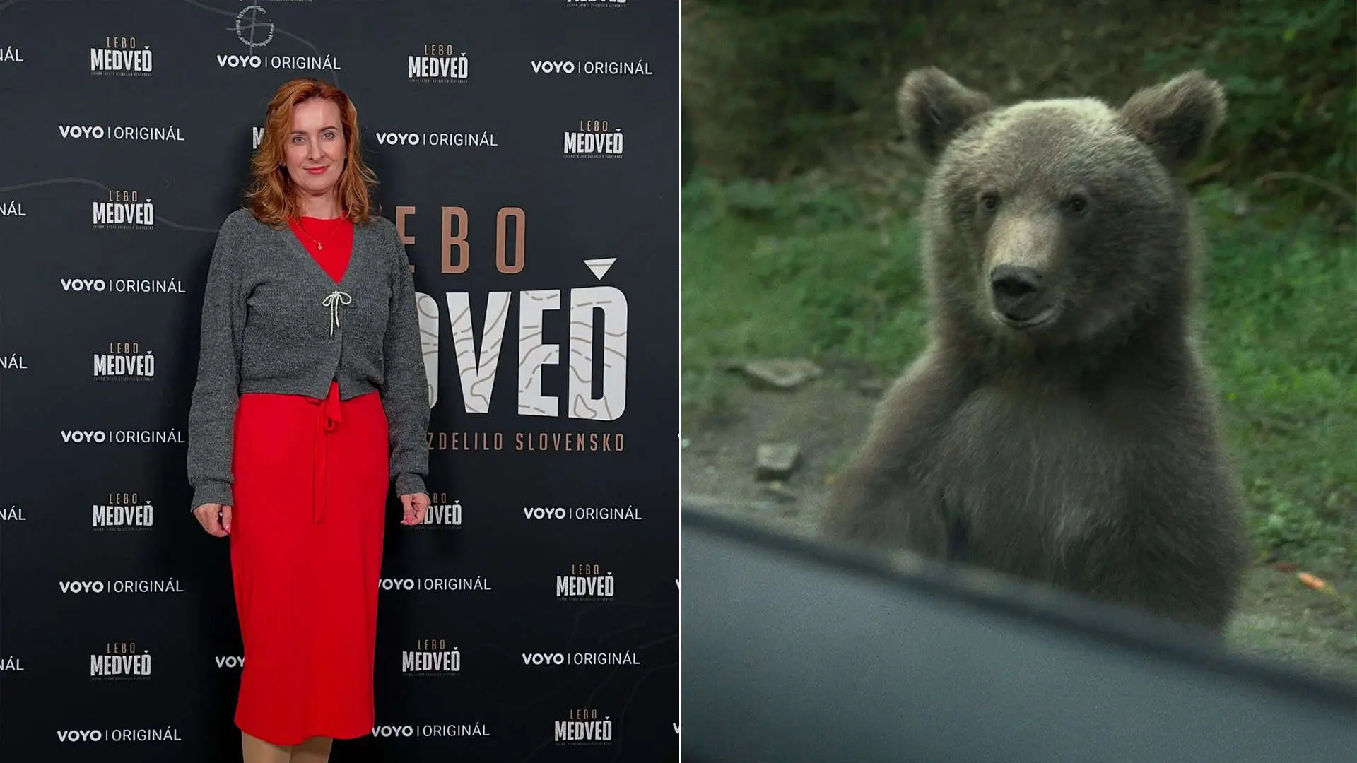 Vladimíra Fabriciusová Lebo medveď