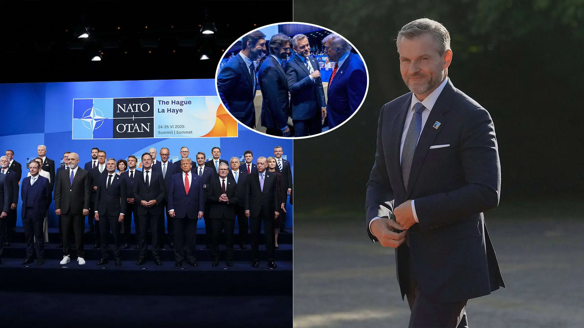 Pellegrini Summit Nato