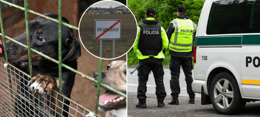 polícia, psi, odstrel