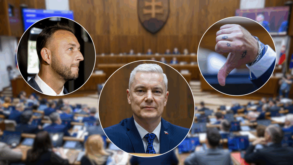 Ferenčák - Fico -ústava