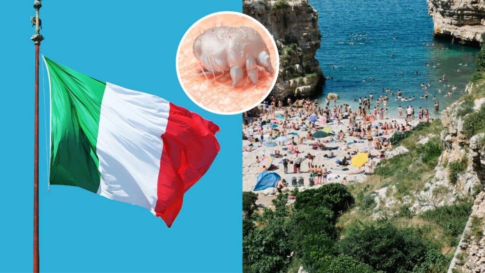 Obľúbená dovolenková destinácia čelí epidémii: