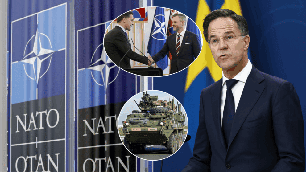 nato-rutte-pellegrini-armáda
