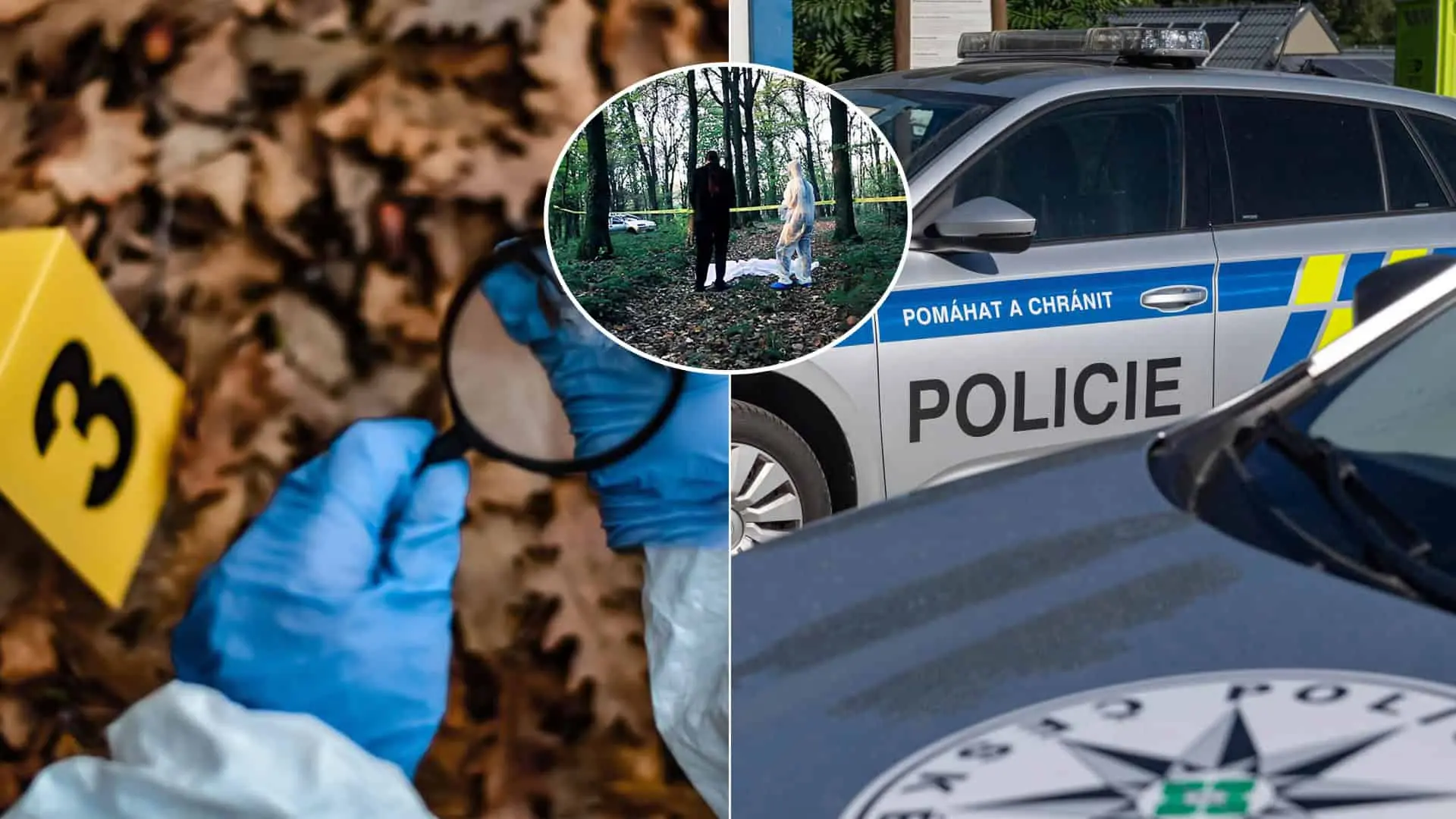 Česko polícia vražda les