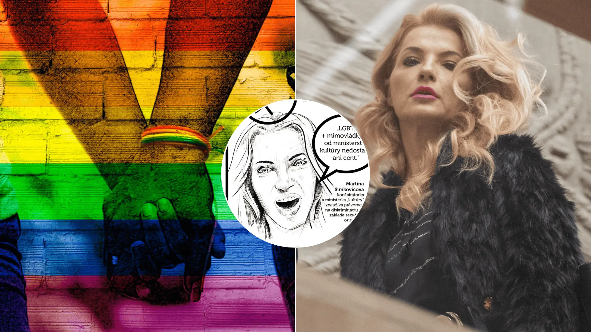 šimkovičová-homofób-roka