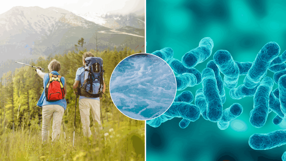 nákaza, Tatry, baktéria, legionella