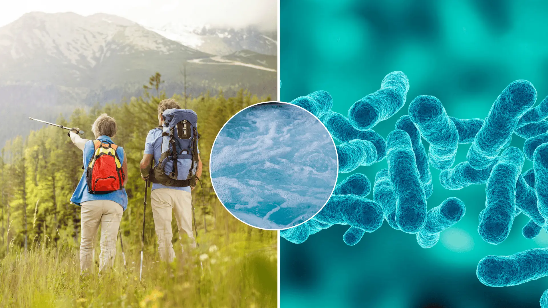 nákaza, Tatry, baktéria, legionella