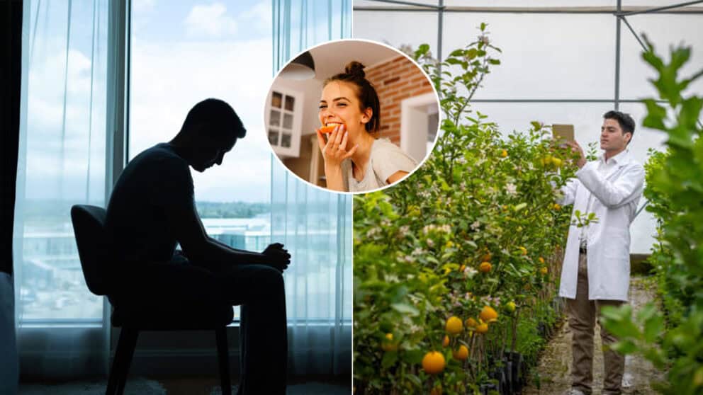 citrus pomaranč vedec depresia