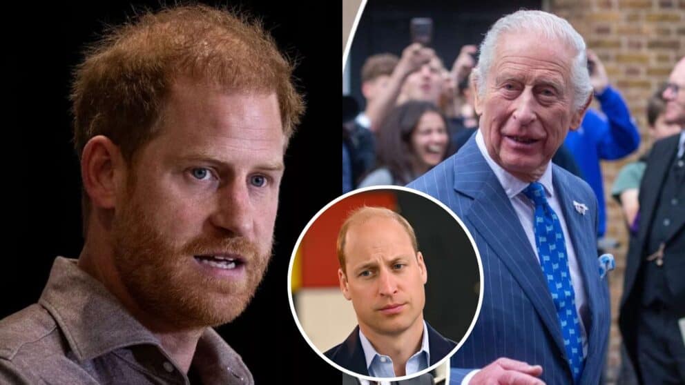 Vzťahy medzi britskou kráľovskou rodinou a princom Harrym, ktorý ju pred rokmi opustil, sú veľmi komplikované