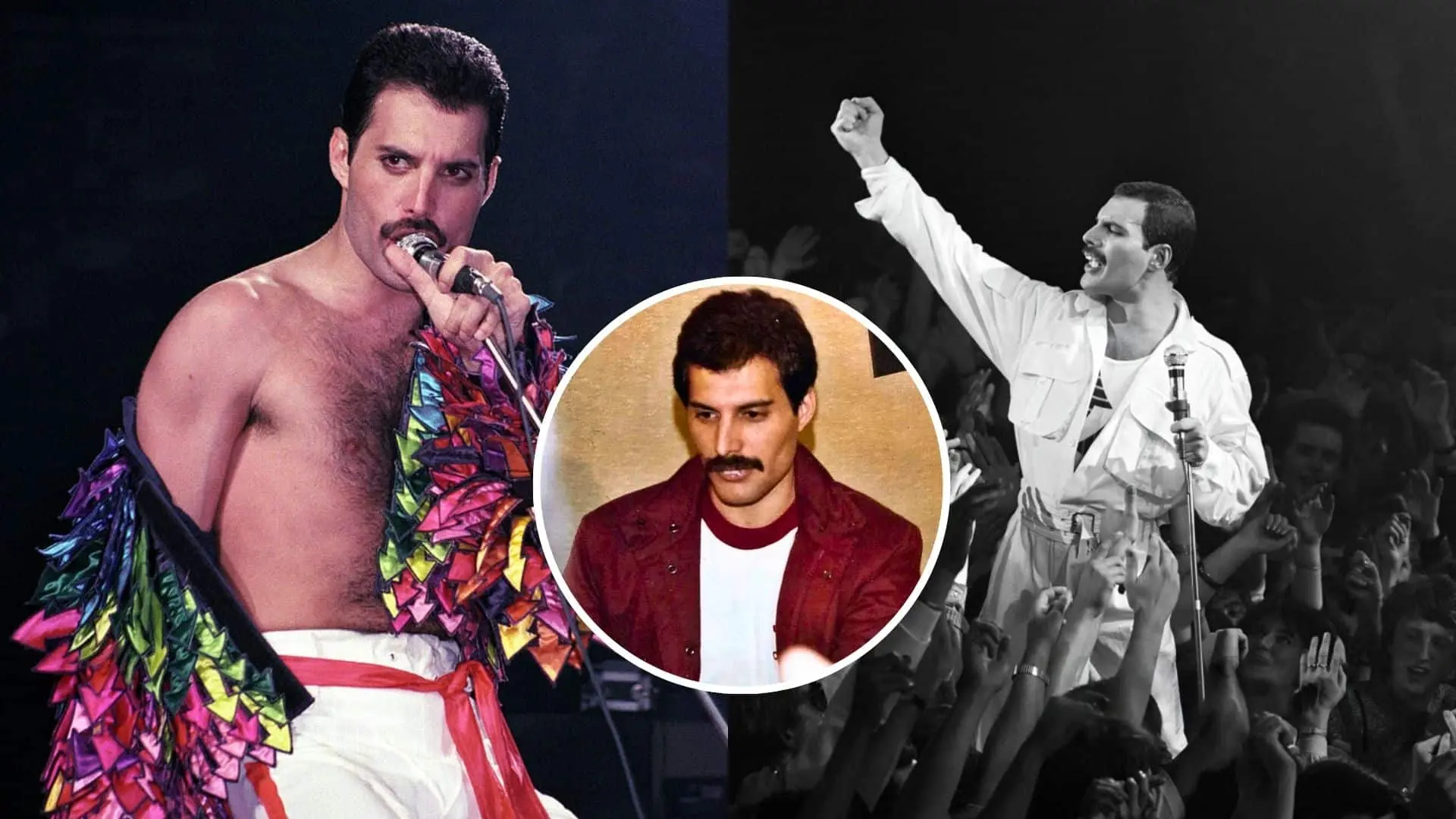 Freddie Mercury