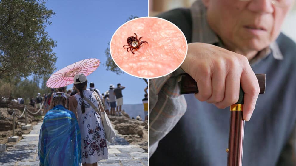 Grécko senior kliešť