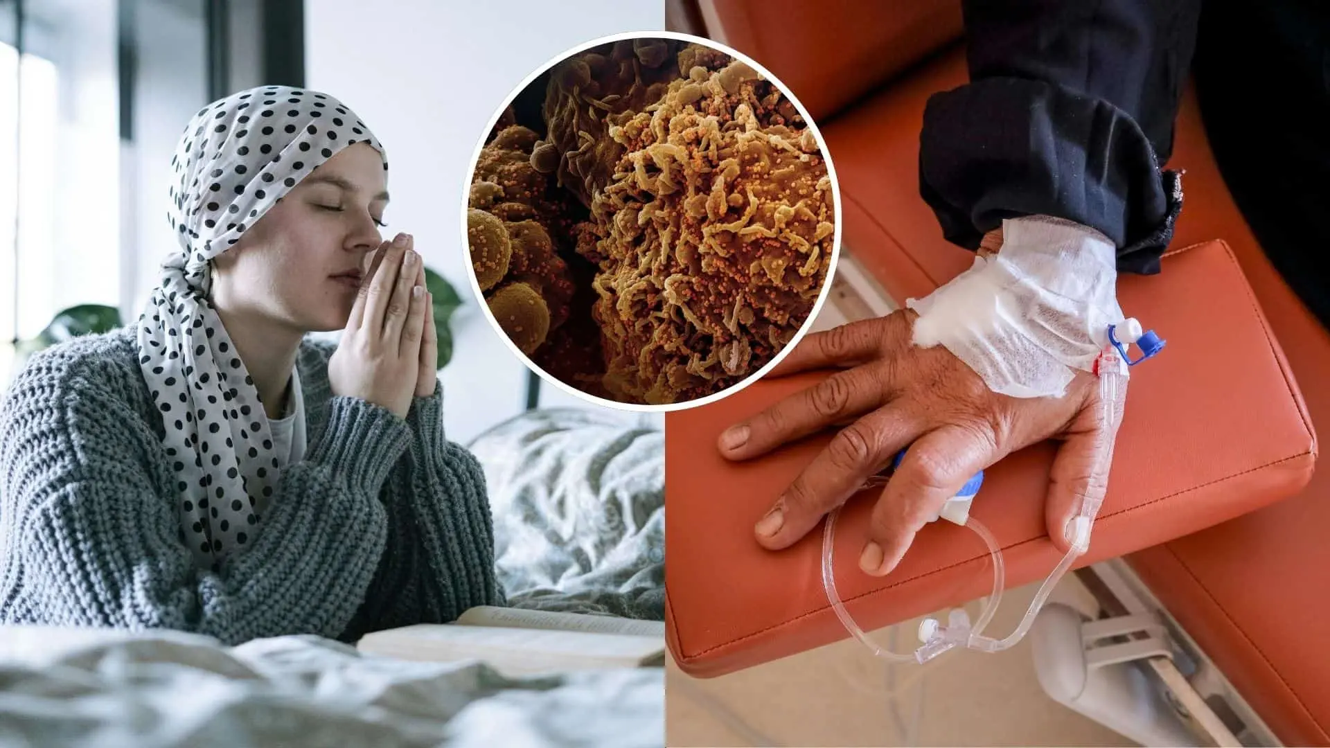 Nový liek selektívne ničí rakovinu a šetrí zdravé tkanivo