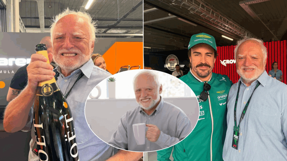 Hide the pain Harold