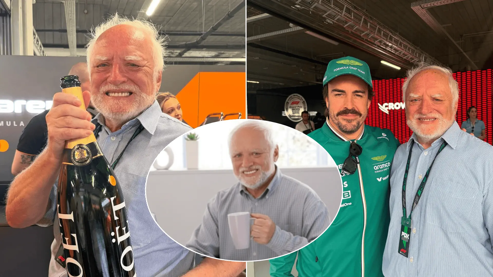 Hide the pain Harold