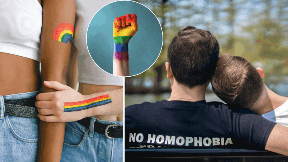 LGBT, prieskum, podpora