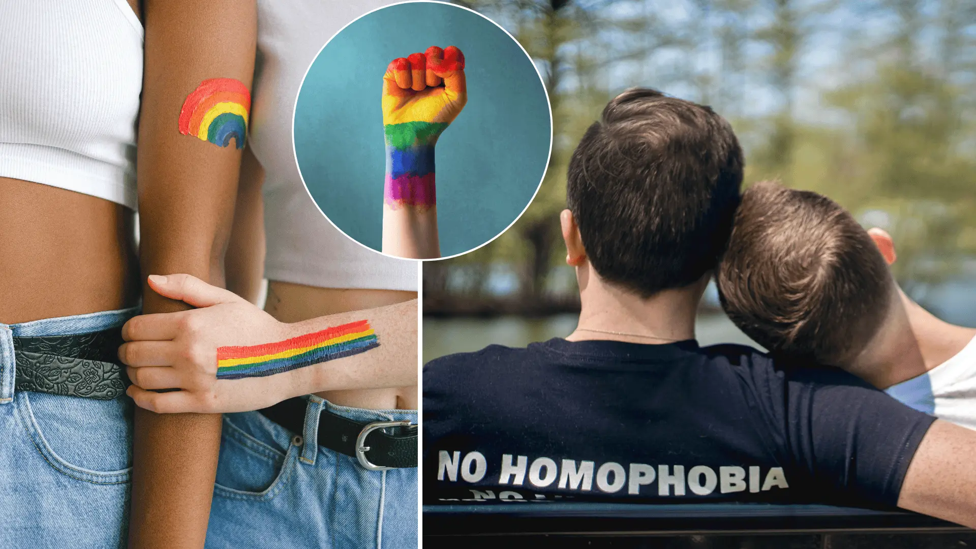 LGBT, prieskum, podpora