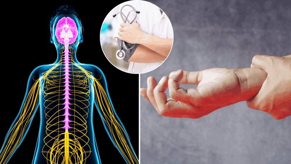 nervy, nervová sústava, príznaky