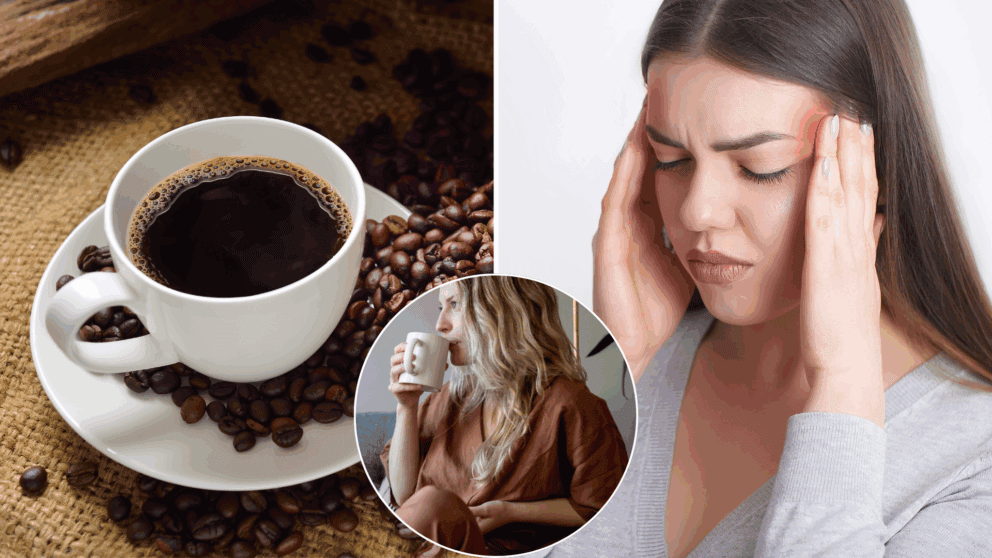 káva, kofeín, vysadenie