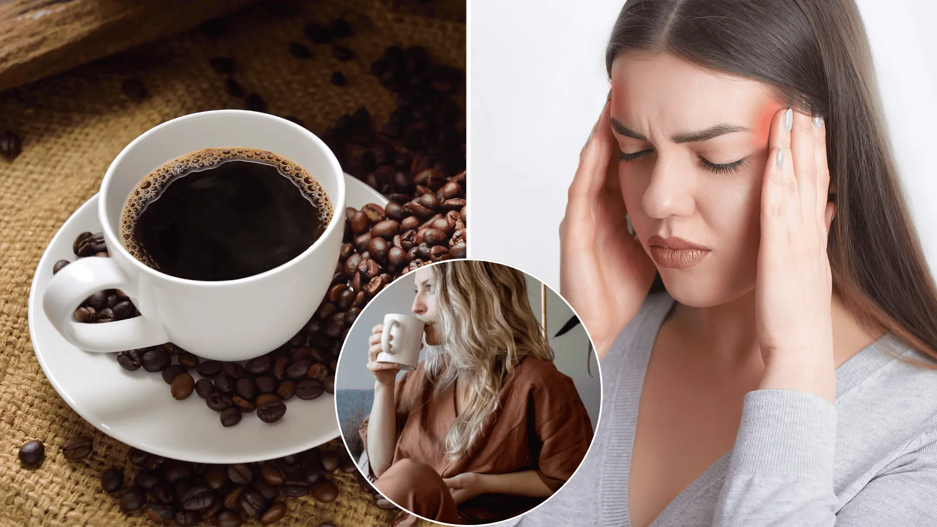 káva, kofeín, vysadenie