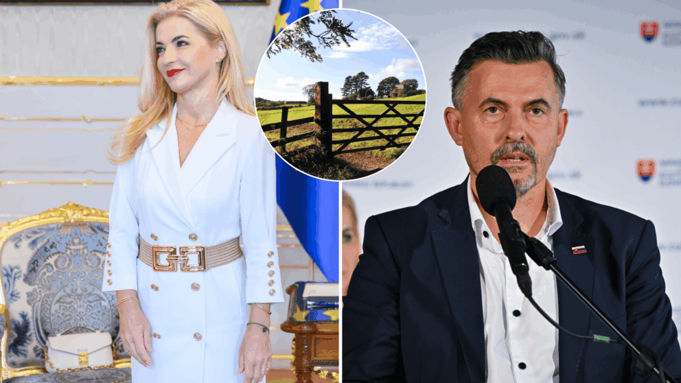 Šimkovičová, Machala, pozemok, finančník