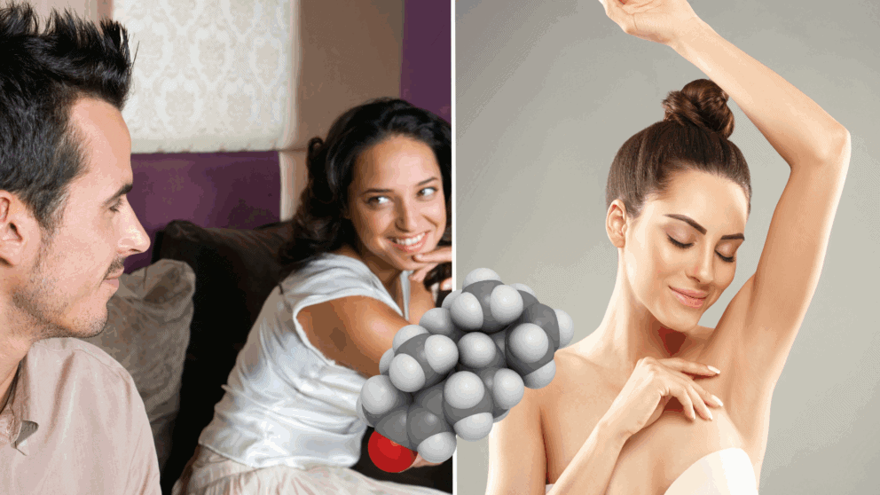 podpazušie, feromóny