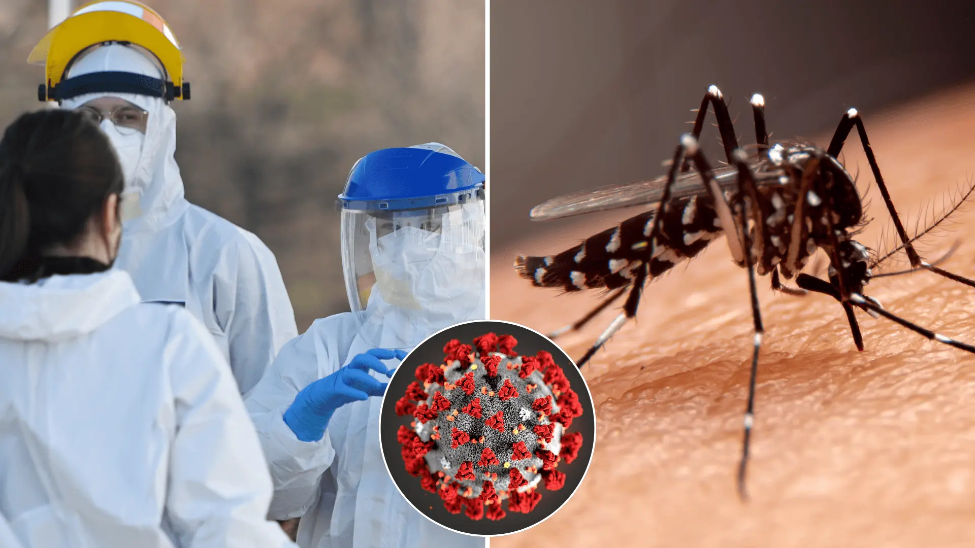 Čína, vírus, šírenie