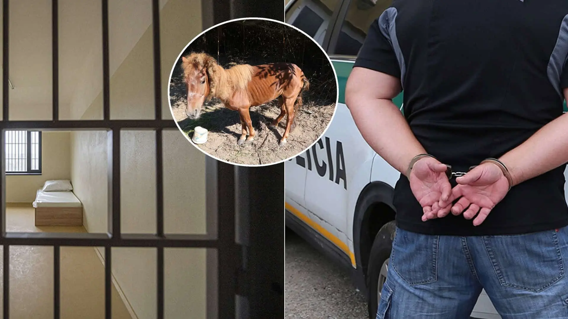 kôň týranie polícia
