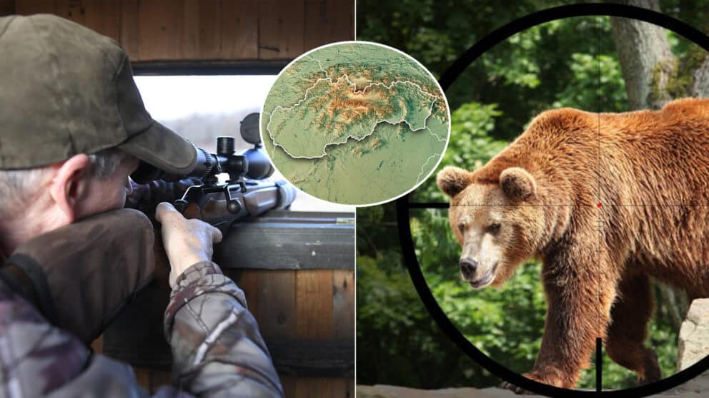 medveď poľovník zbraň Slovensko