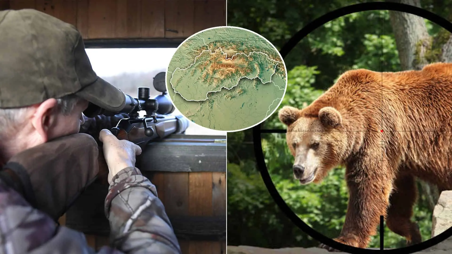 medveď poľovník zbraň Slovensko