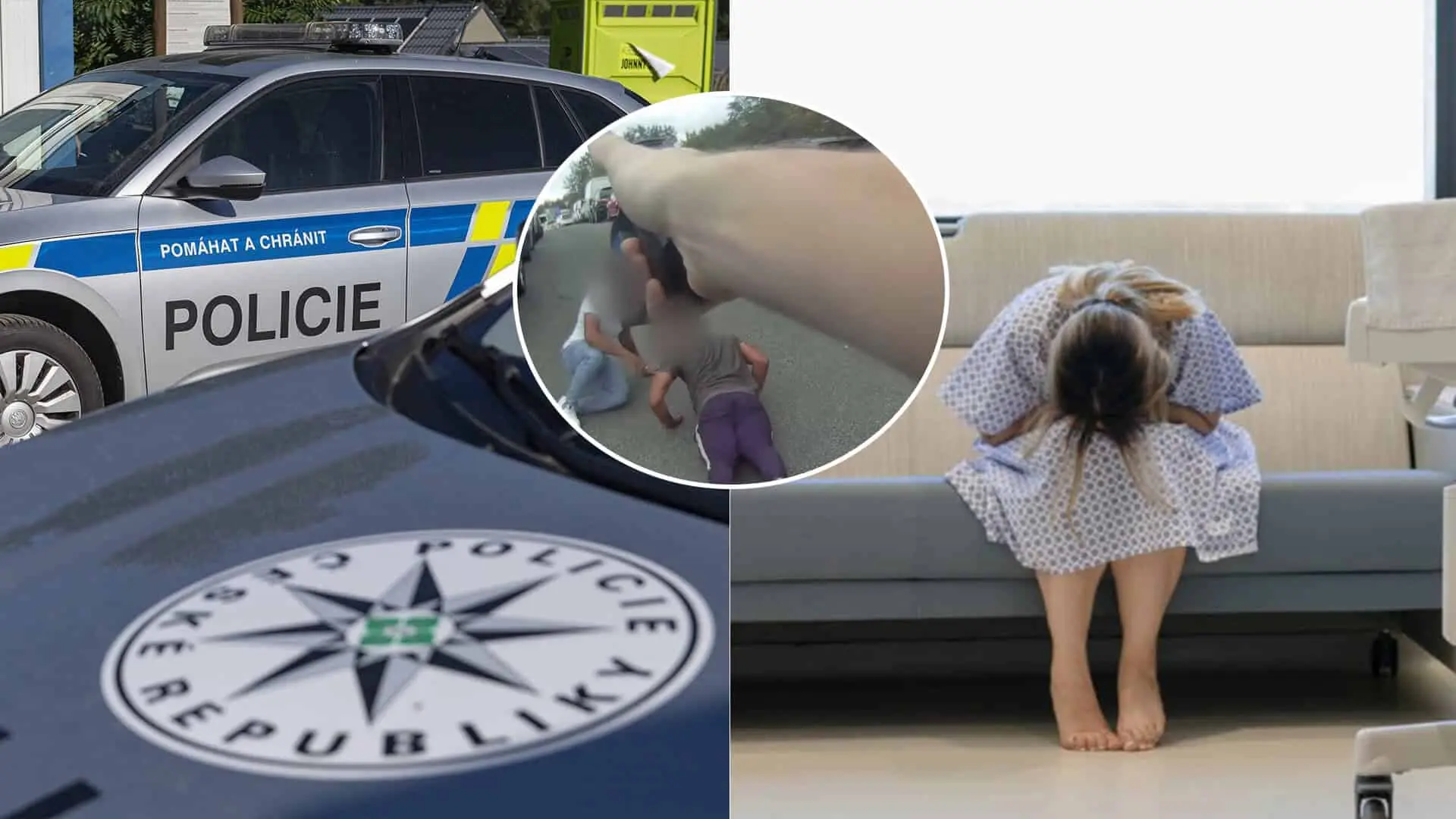 Česko polícia žena