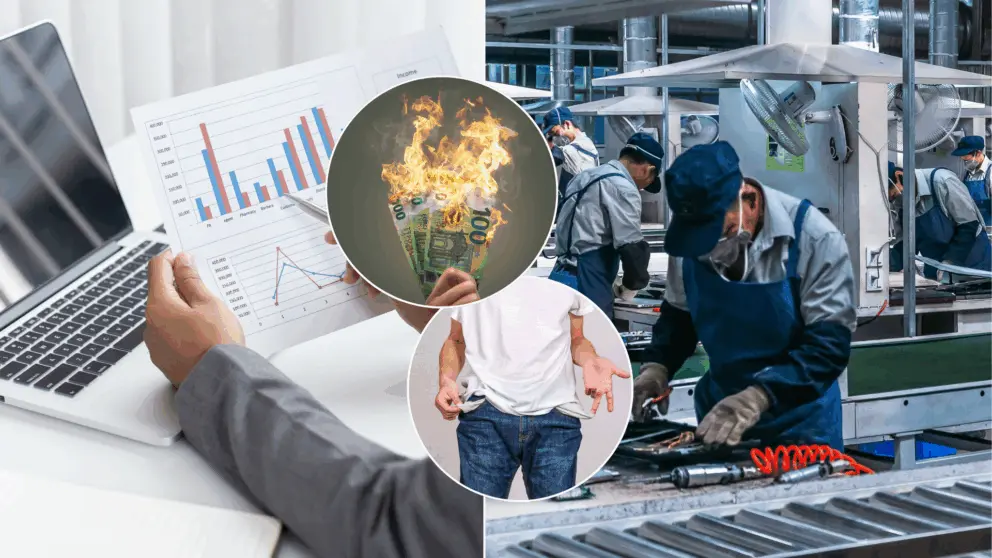 ekonomika, konsolidácia, podnikanie